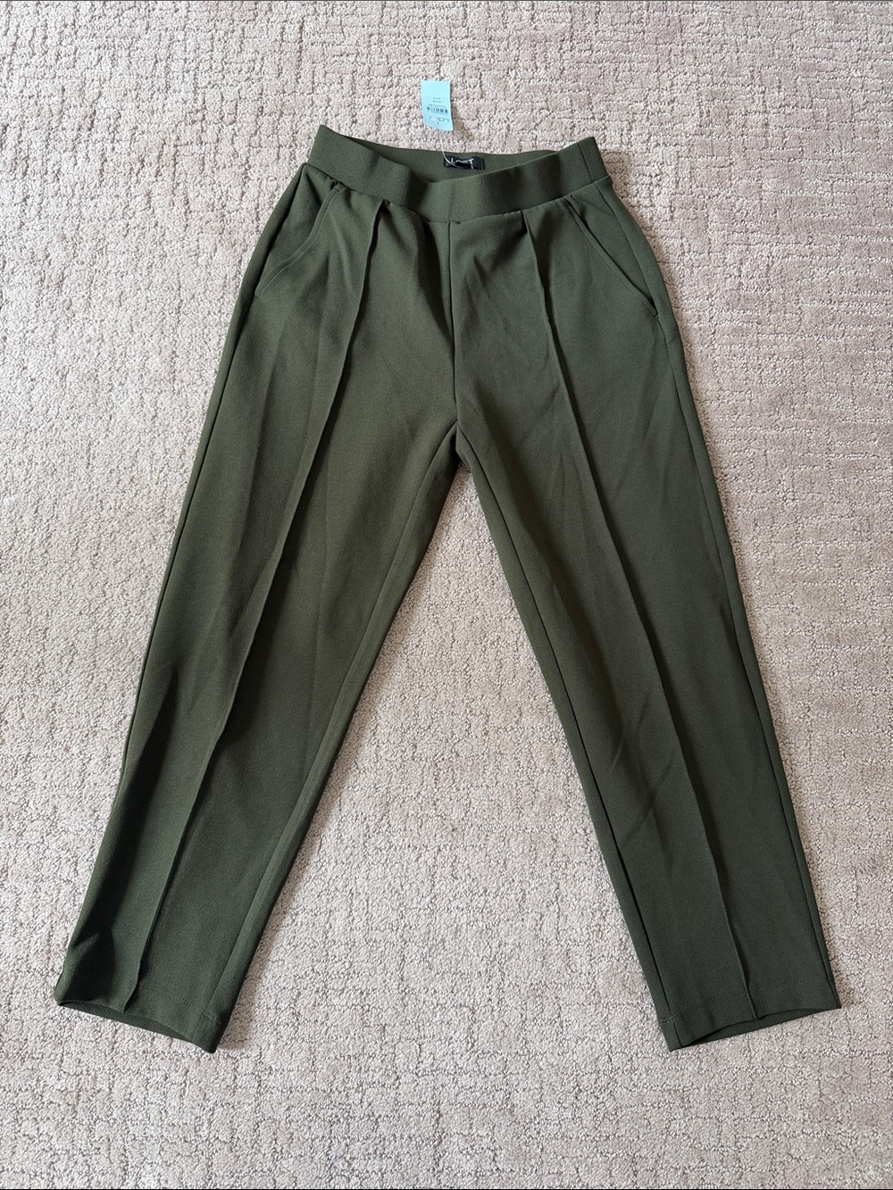 LOFT Olive Pleated Tapered Chinos
